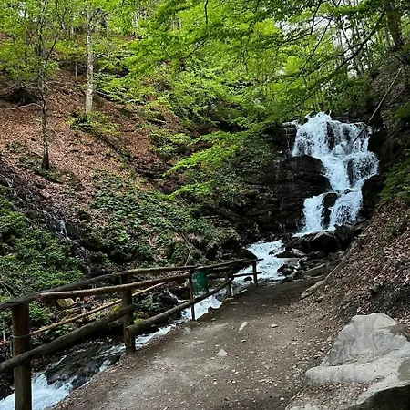 Yellow House * Pilipets