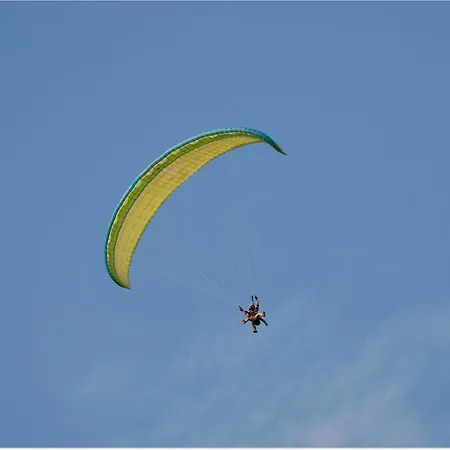 Yellow House Pilipets