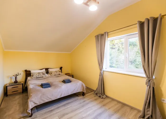 度假居 Yellow House